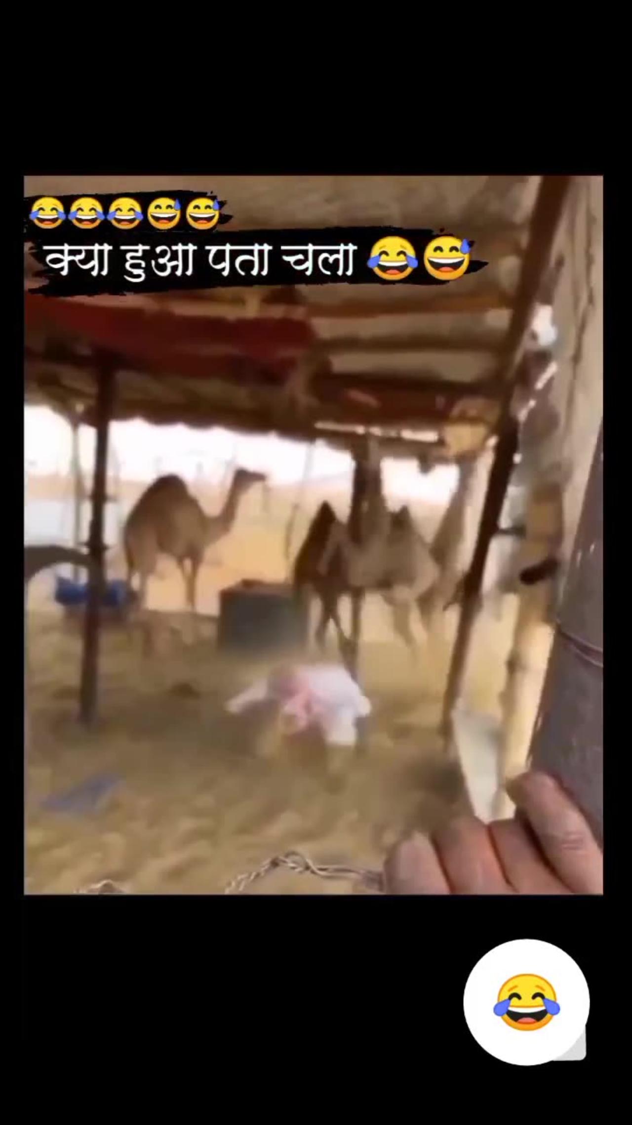 Funny video 😅😅😅