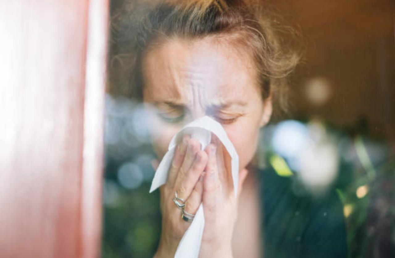 Fight Congestion With These SinusClearing Foods One News Page VIDEO