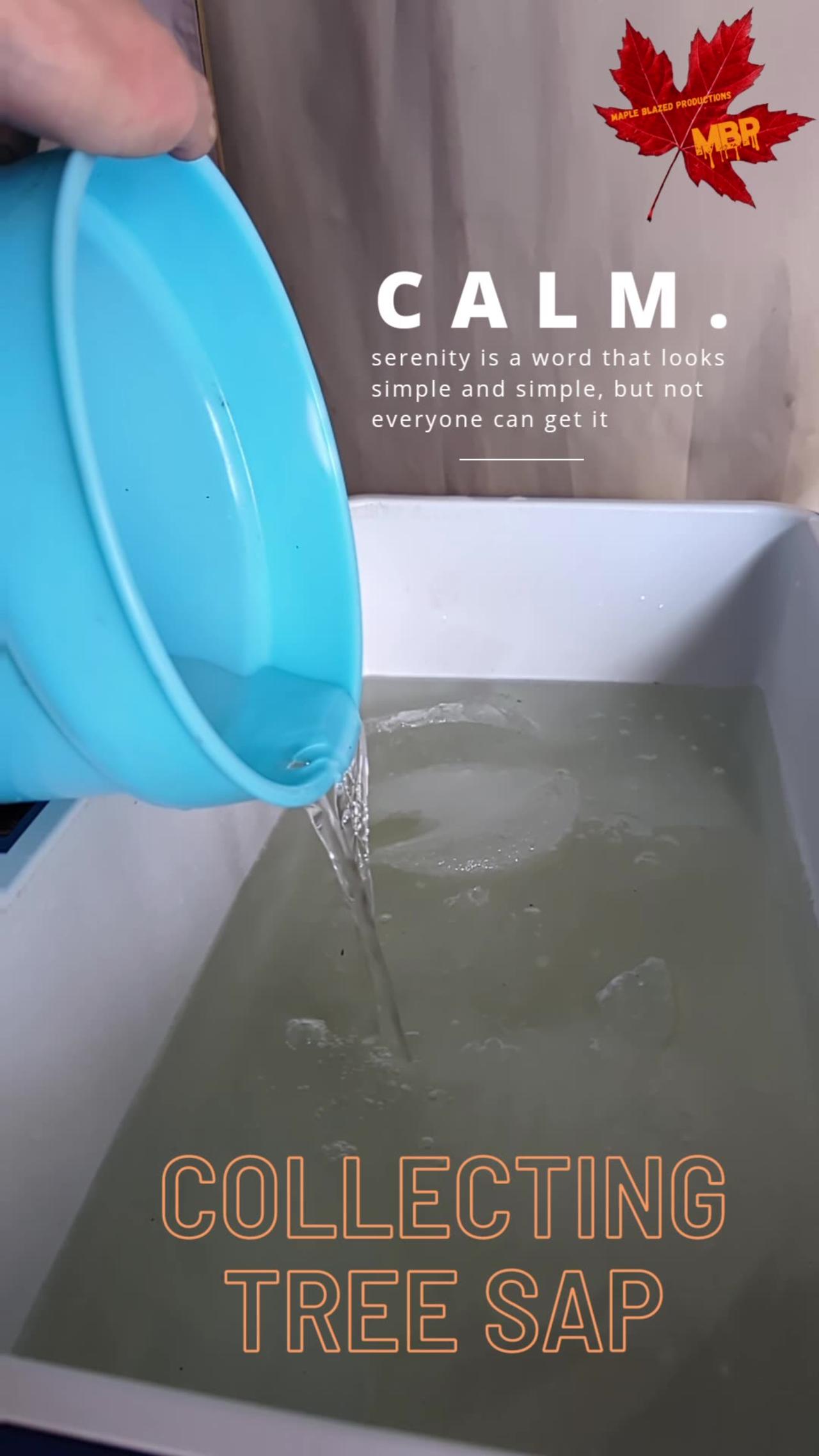 Boiling maple sap to make syrup One News Page VIDEO