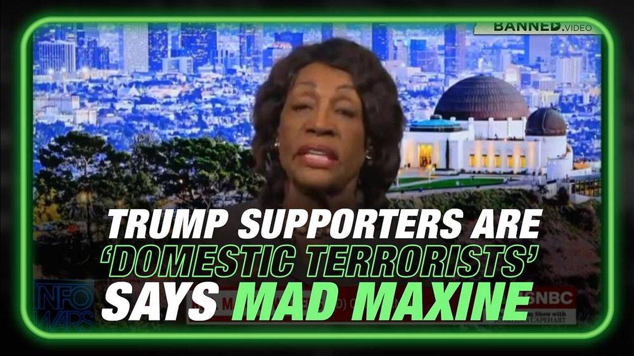 Constuitutional Crisis: Maxine Waters Declares All Trump Supporters 'Domestic Terrorists'
