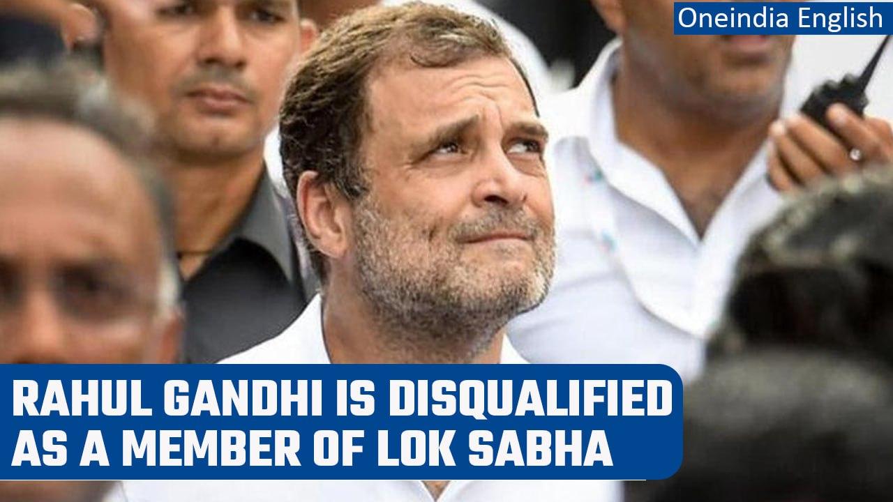 Rahul Gandhi disqualified as Lok Sabha MP after Surat court verdict in defamation case|Oneindia News