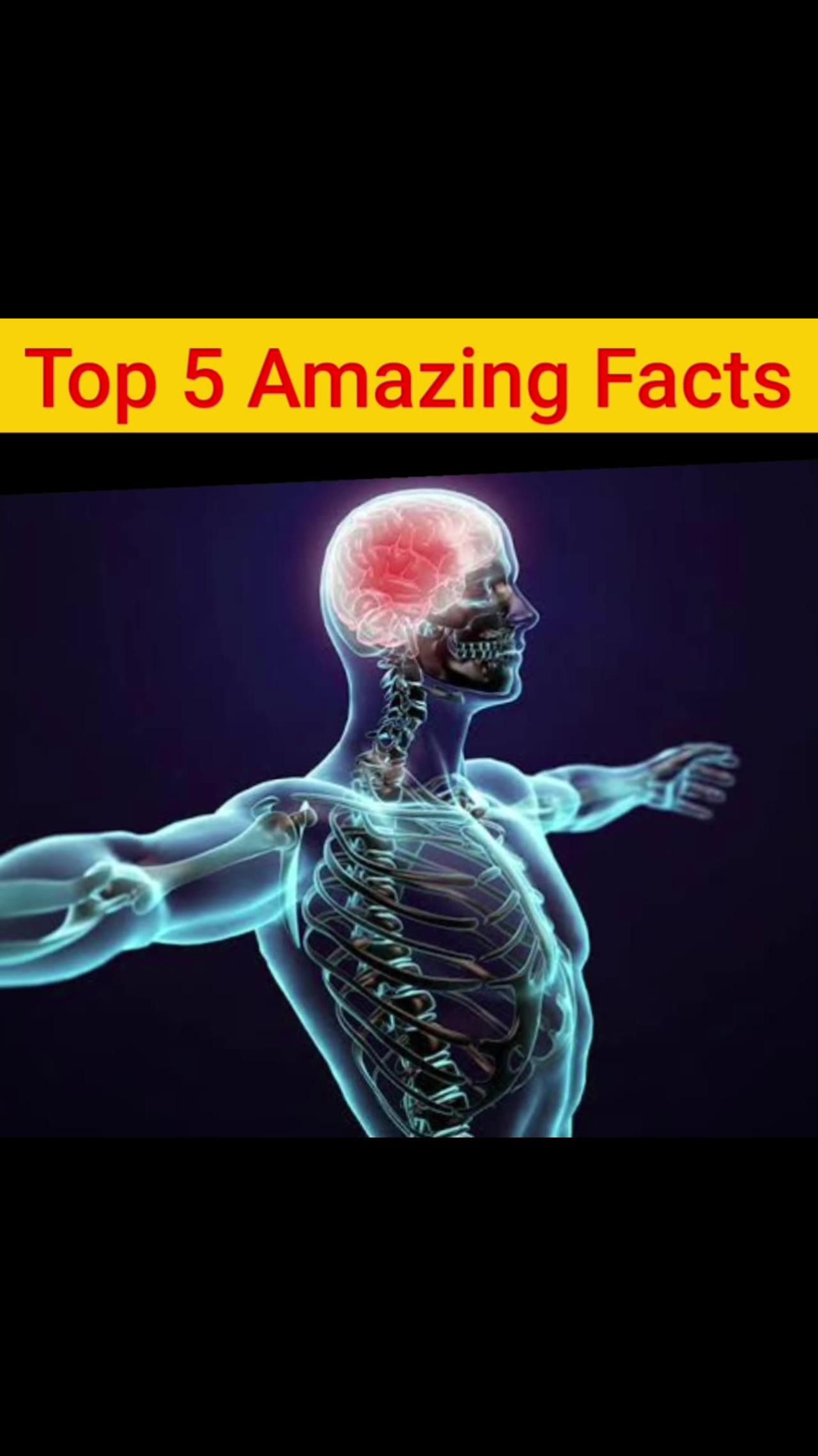 हैरान कर देने वाले रोचक तथ्य #amazingfactsinhindi amazingfacts #unknownfacts #fact