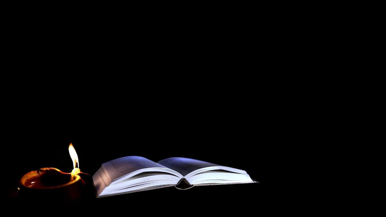 Lt Music, is a channel dedicated to a new concept of varied music