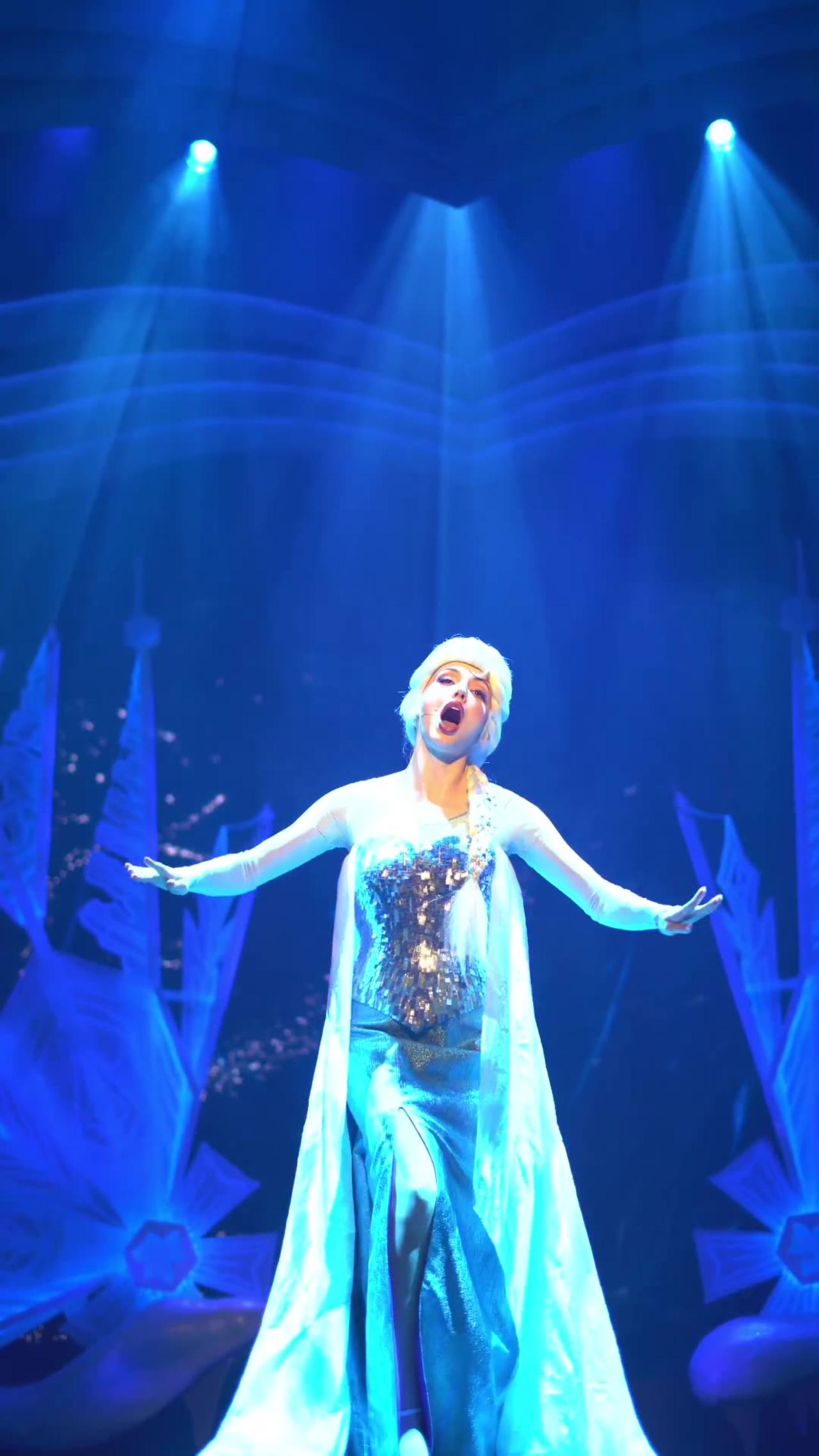 Disney Princess Elsa Frozen Let It Go