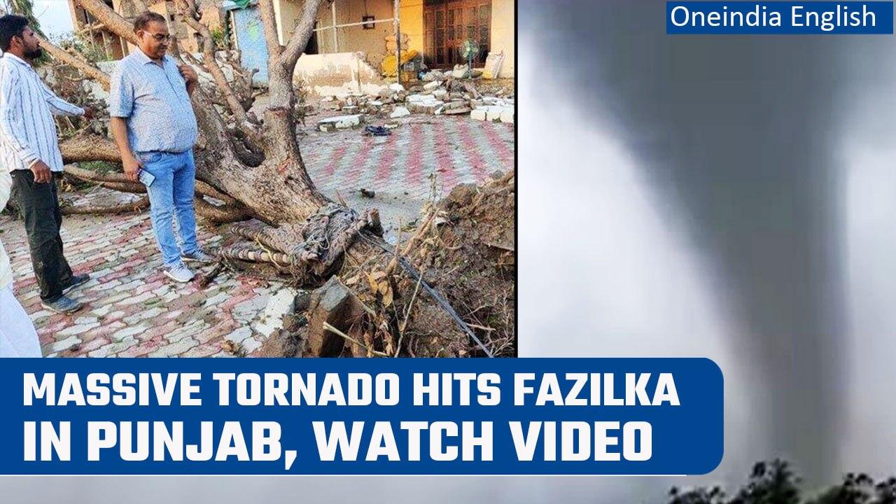 Punjab: Massive Tornado Hits Village in Fazilka, over 10 injured | Oneindia News