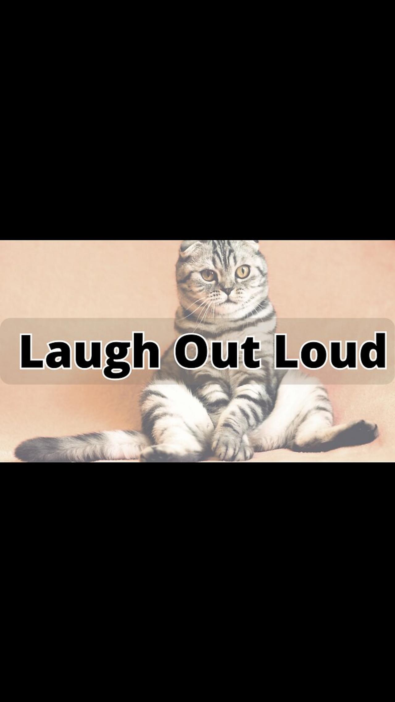 Laugh Out Loud: Hilarious Cats and Dogs Compilation 2023