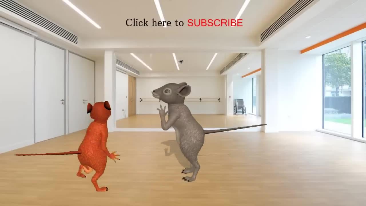 Funny Rat dance 2020