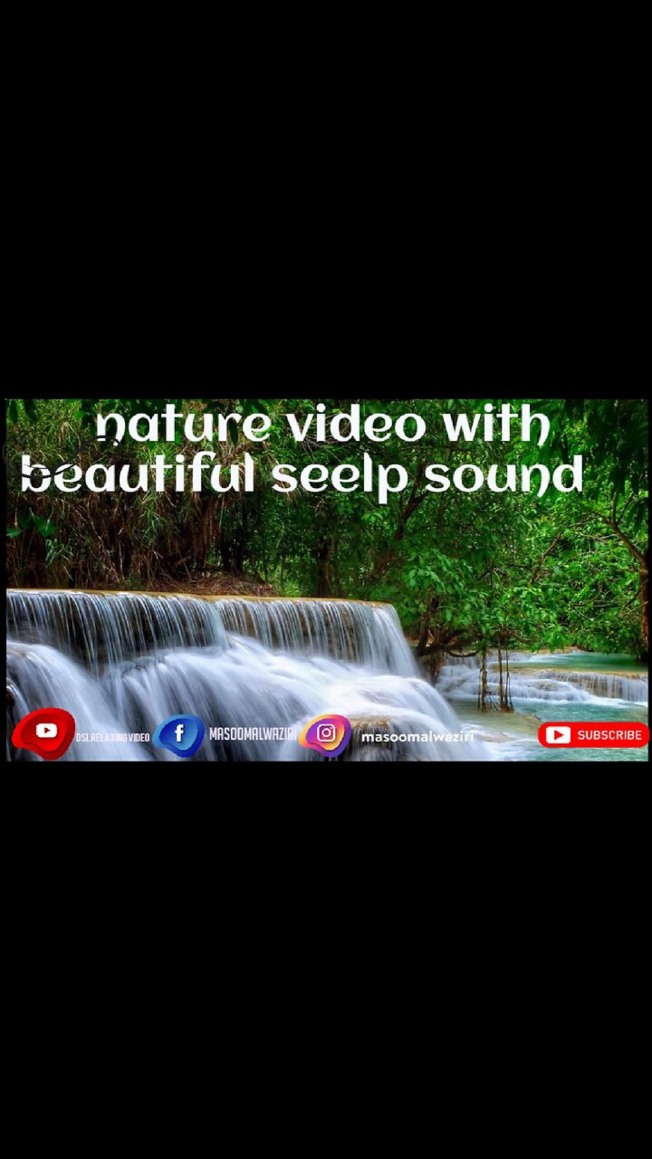 Nature Sounds bath with Relaxing Music - 4k Video HD Ultra