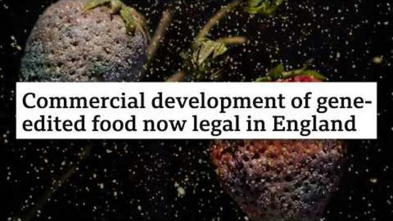 UK Says YES to GENE-EDITED Franken-Foods