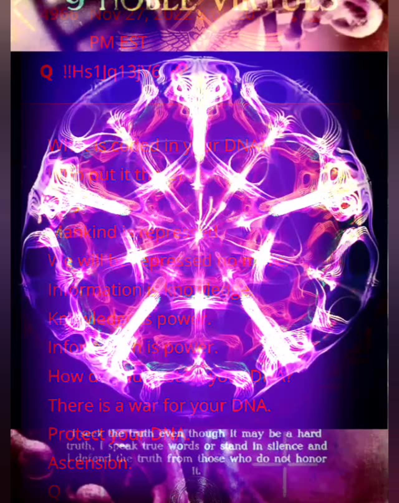 What is coded in your DNA? Who put it there? One News Page VIDEO