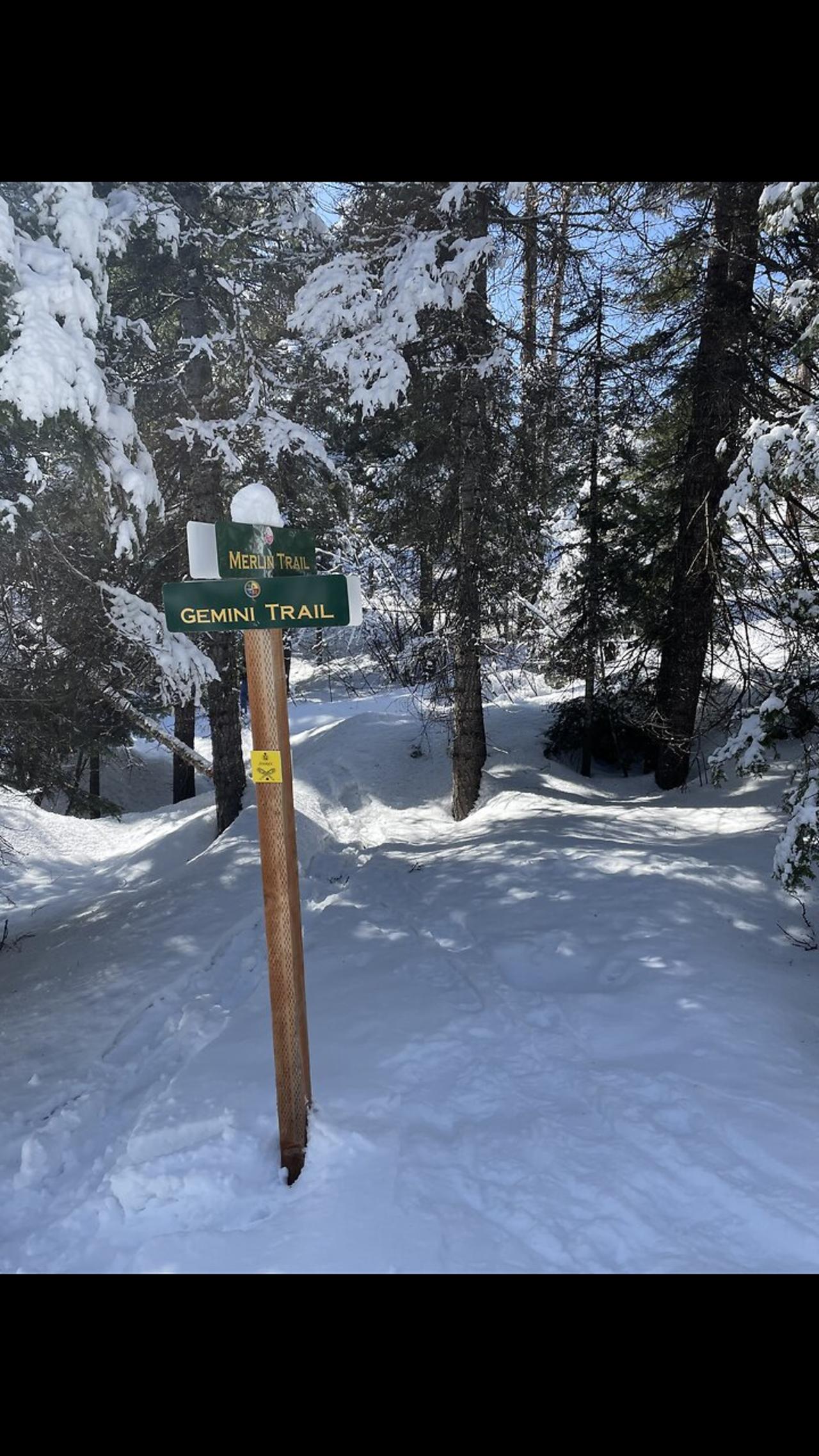 Tamarack snowshoe trail