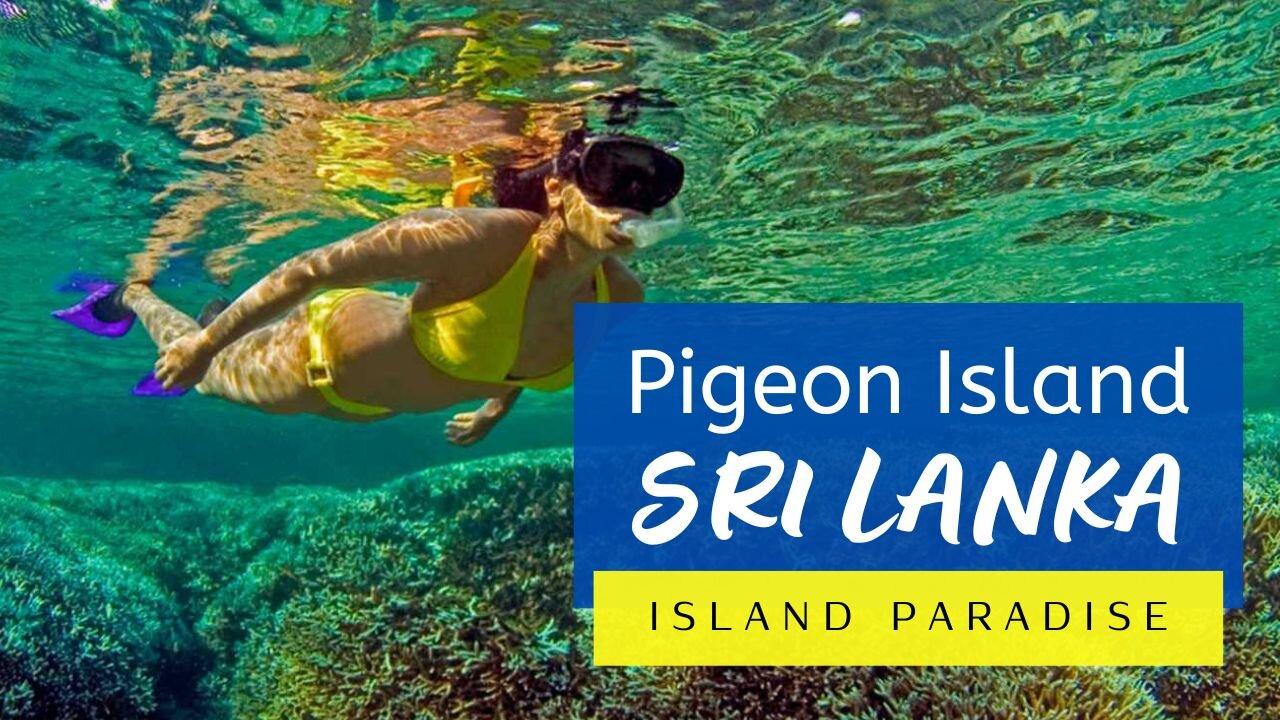 Discover the Stunning Beauty of Pigeon Island in Sri Lanka | A Must Visit Destination Beach | 104