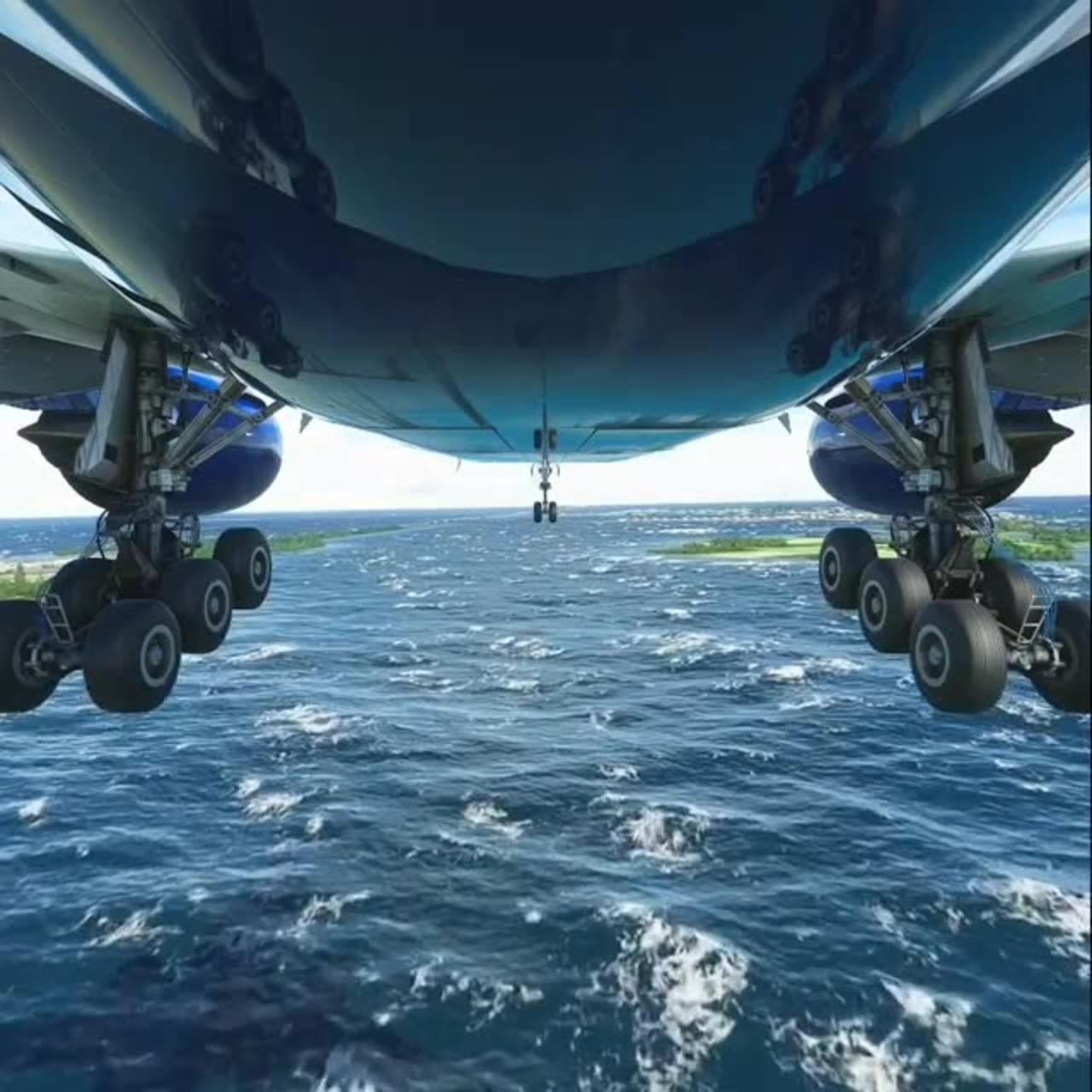 Worlds most Dangerous plan landing (Video Game)