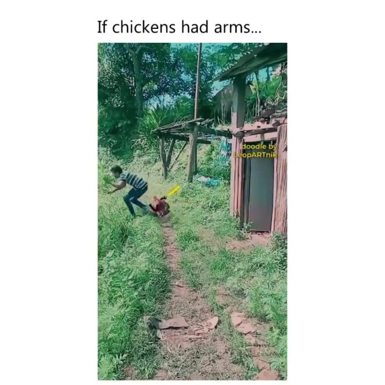 If checkens had arms