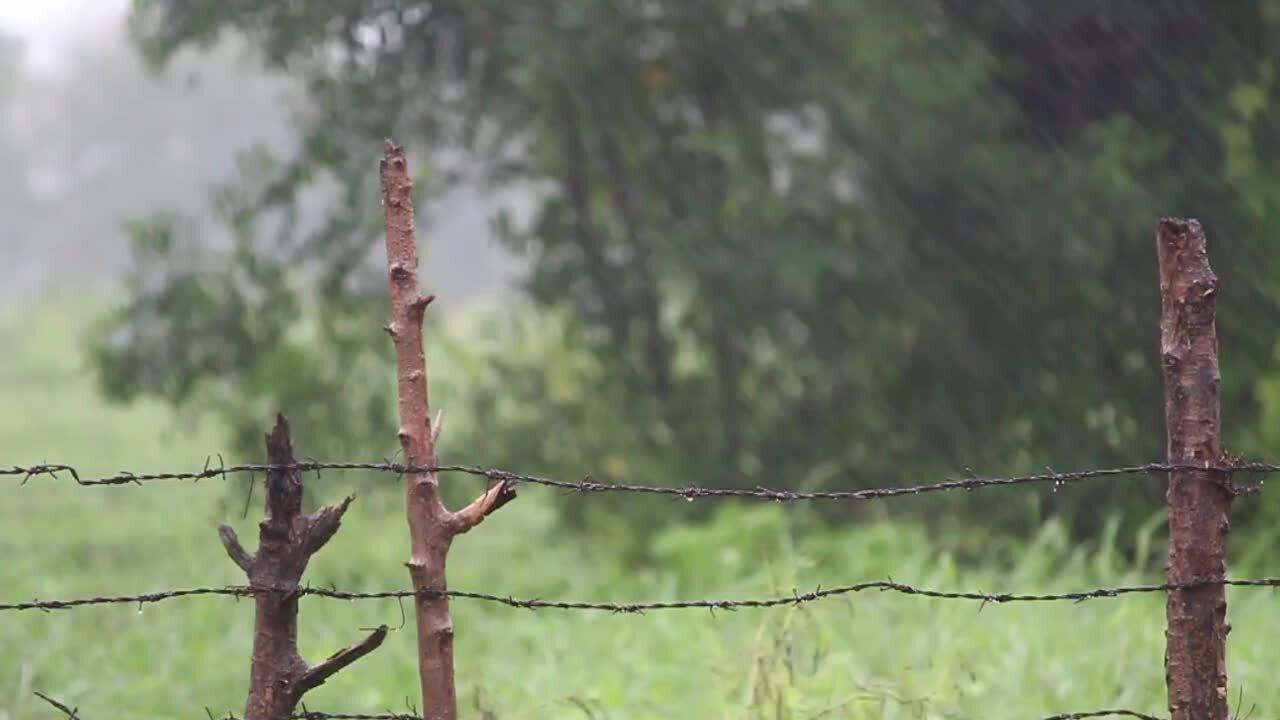 Country Rainstorm: Non-Stop Rain Sounds to Help You Unwind