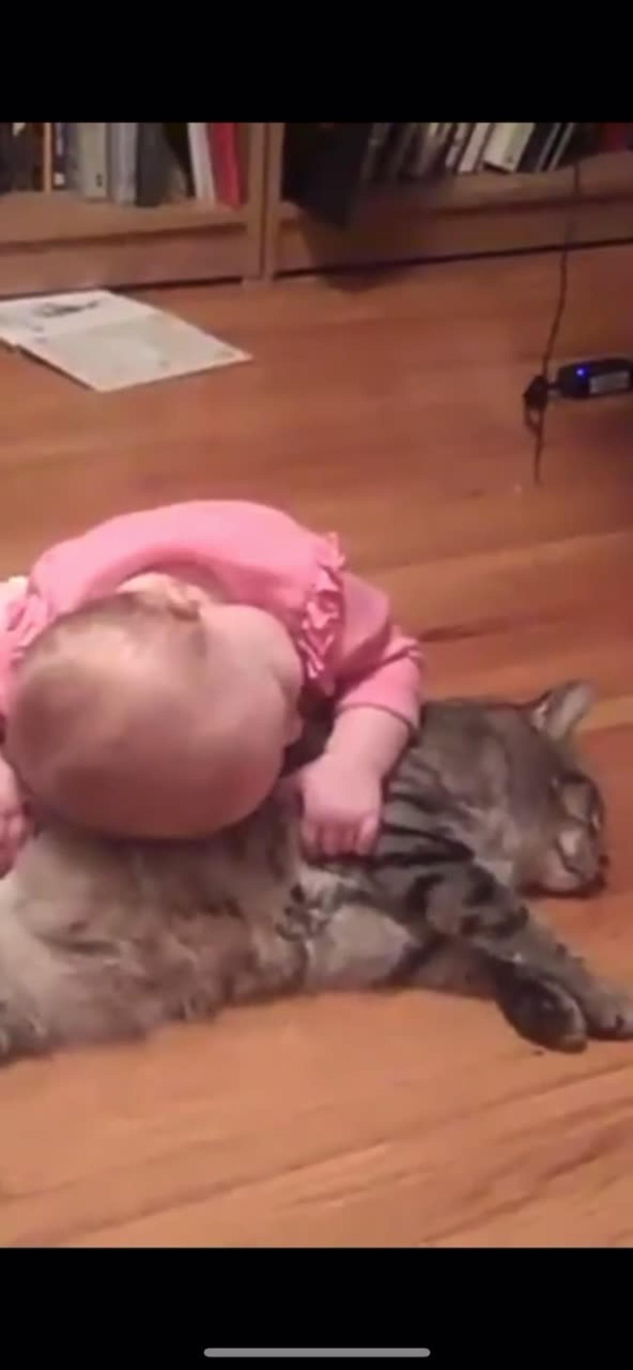 Cat & Baby fun 🤩 they’re so cute 🥰