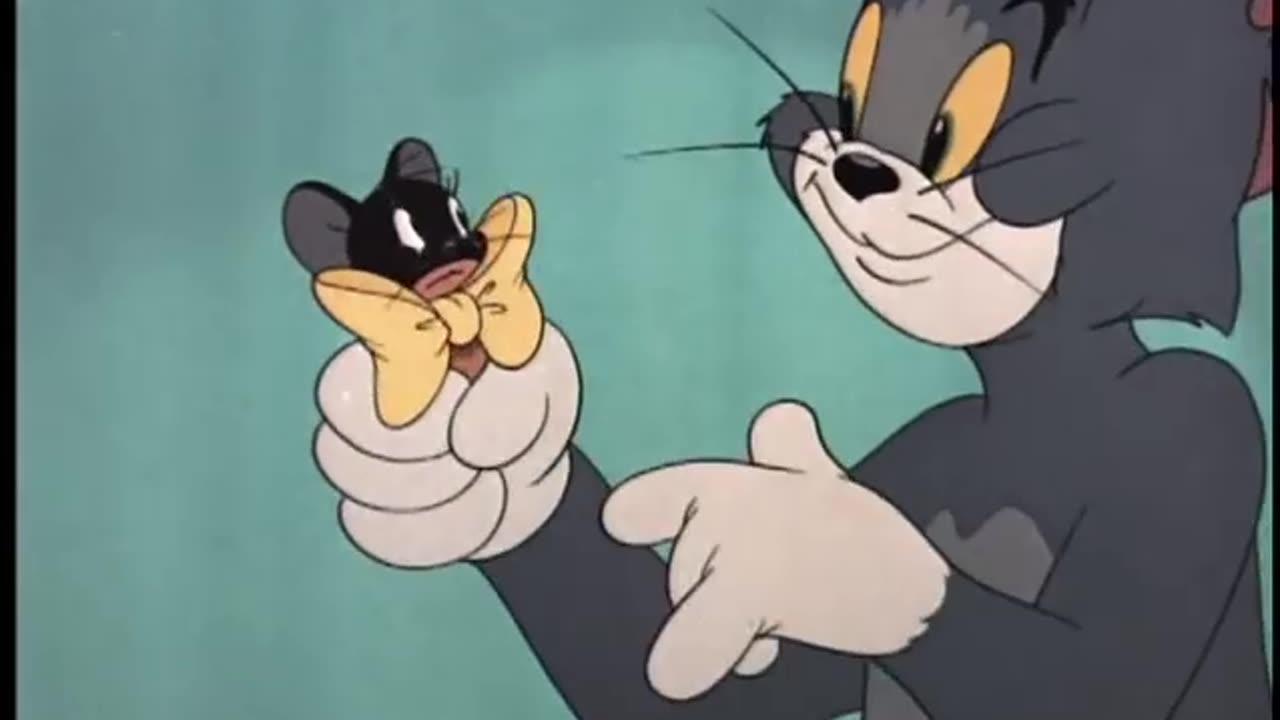 Tom and Jerry 19 - Casanova Cat