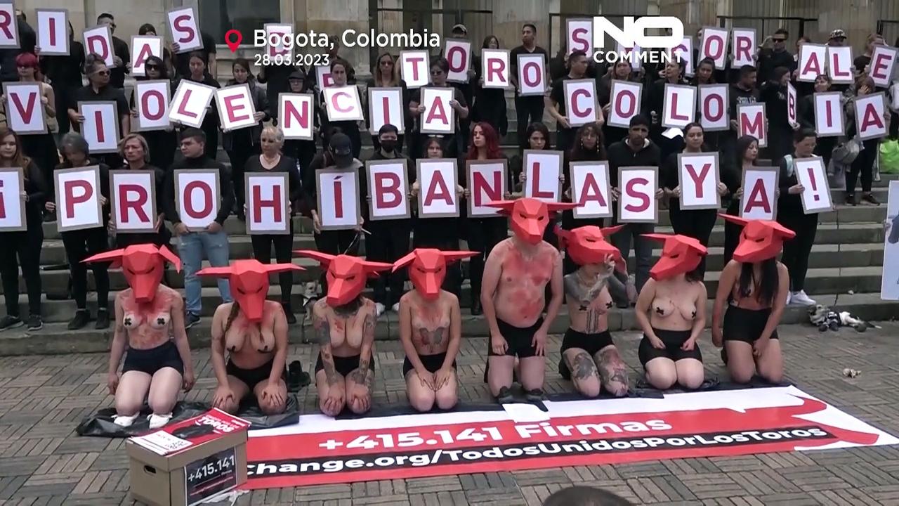 Watch: Anti bullfighting demo in Colombia ahead of debate