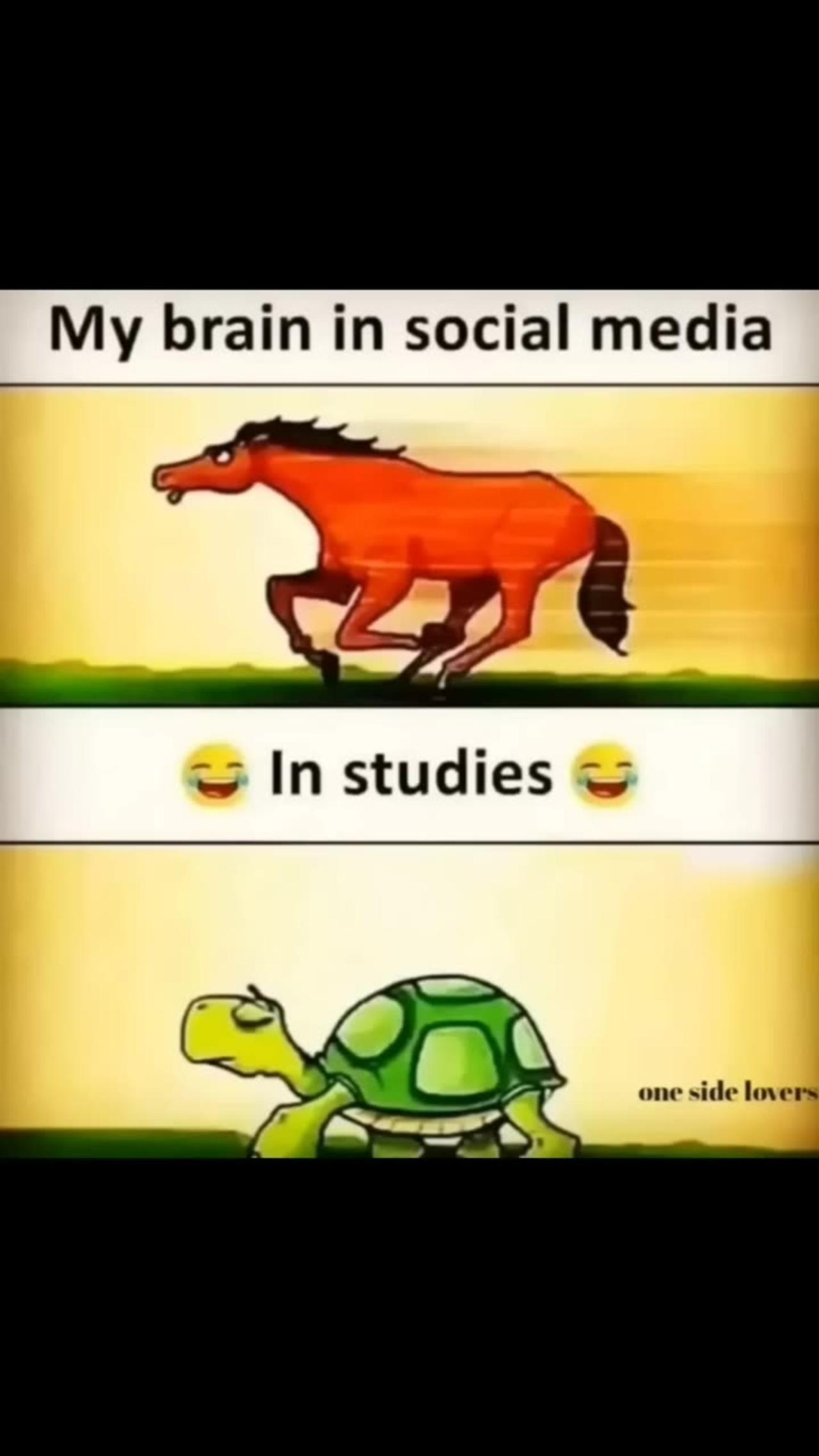 Funny school related memes