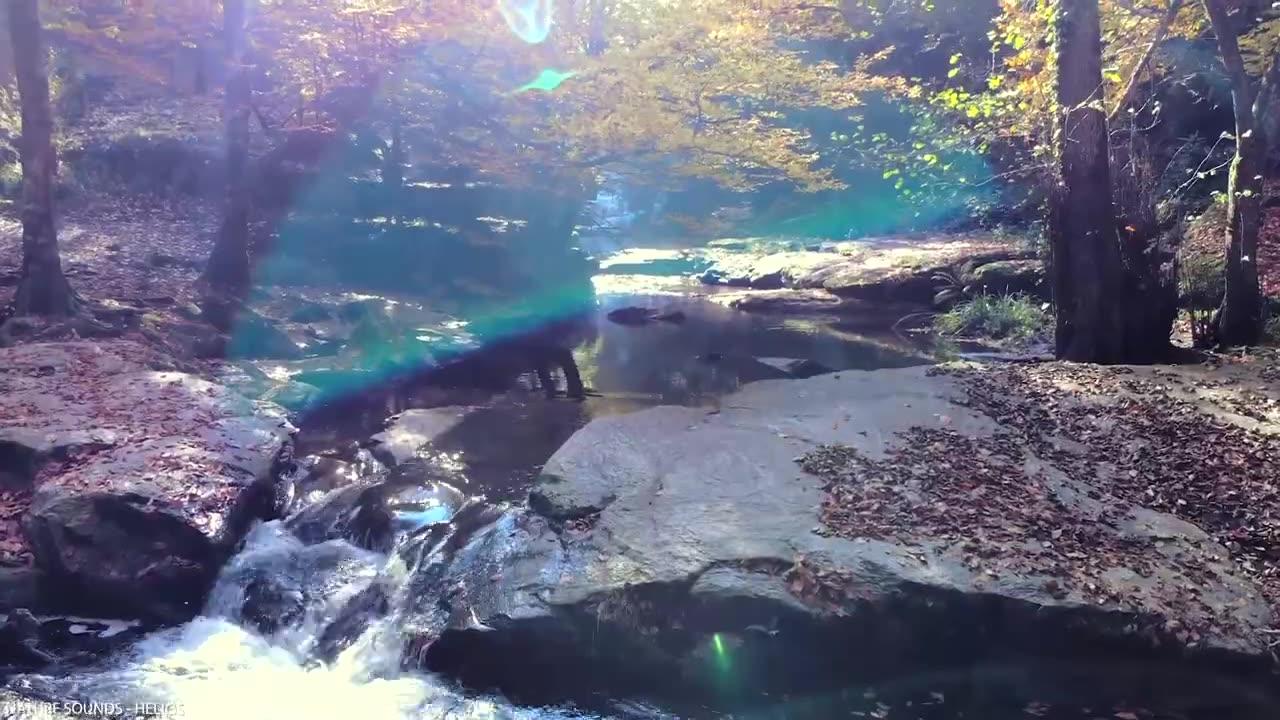 Music for the soul 🌿 Gentle healing music for health and for calming the nervous system