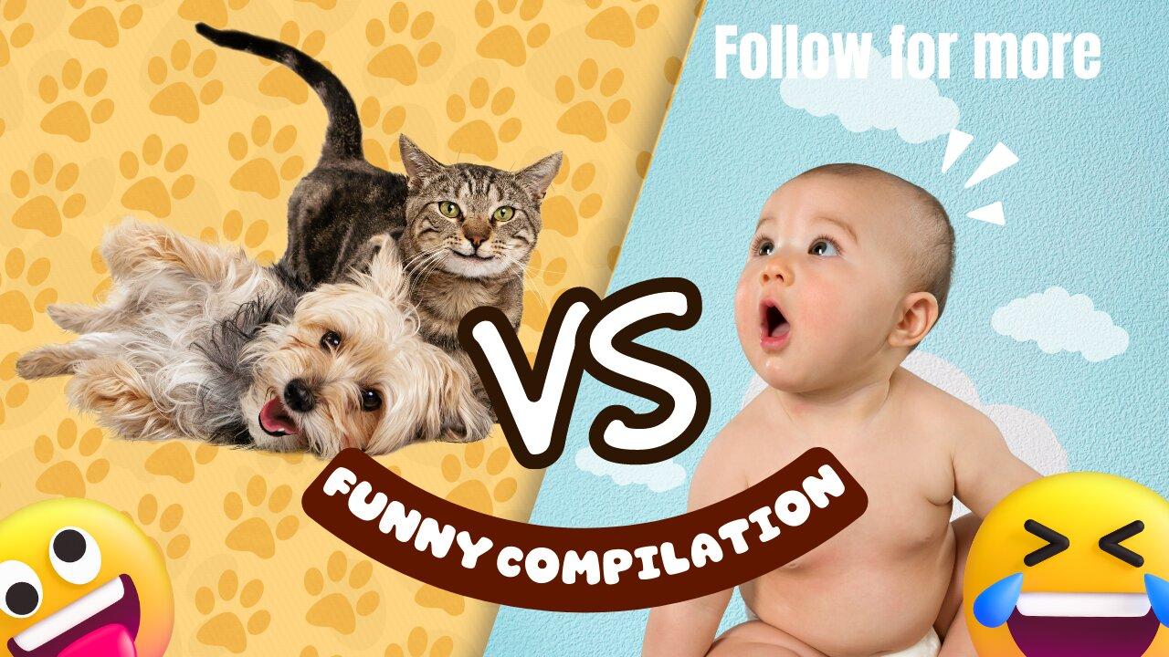 Funny animals compilation 2023🤣🤣-Funniest videos 😍😍😂