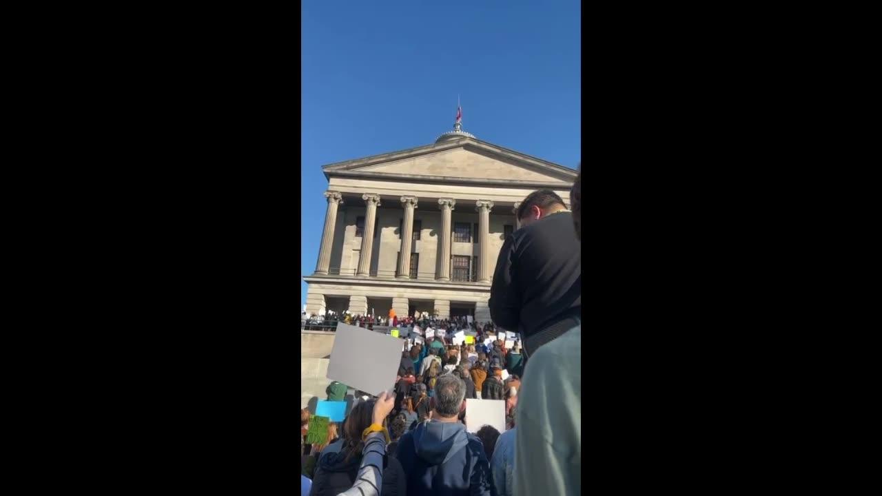 Protesters demand gun reform outside Tennessee state capitol