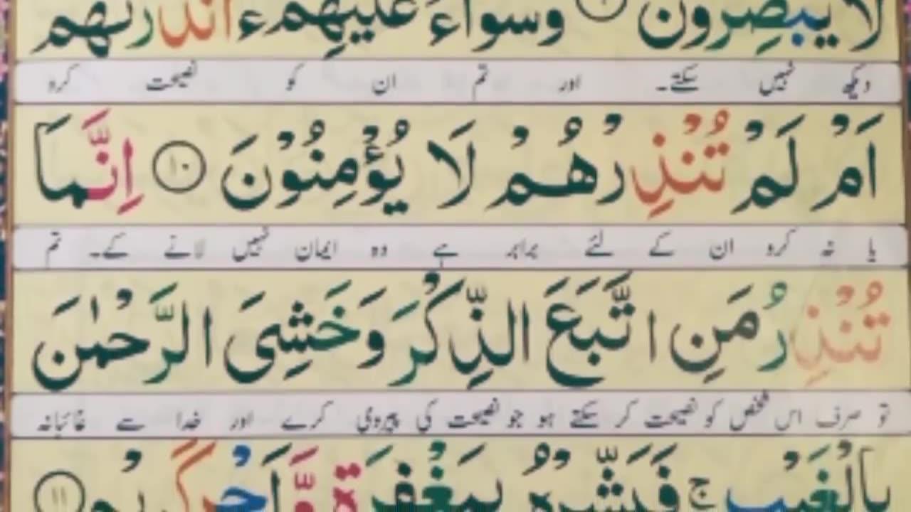 Surah Yaseen - One News Page VIDEO