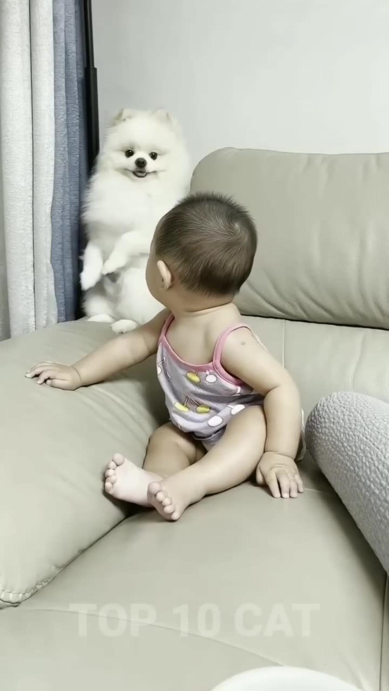 Dog with baby cute 😍 funny video