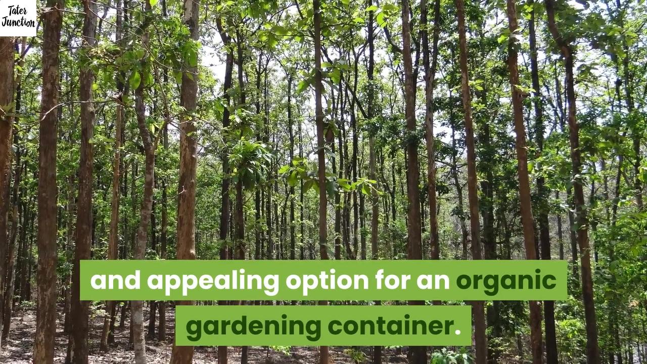 organic gardening safe containers UK what One News Page VIDEO