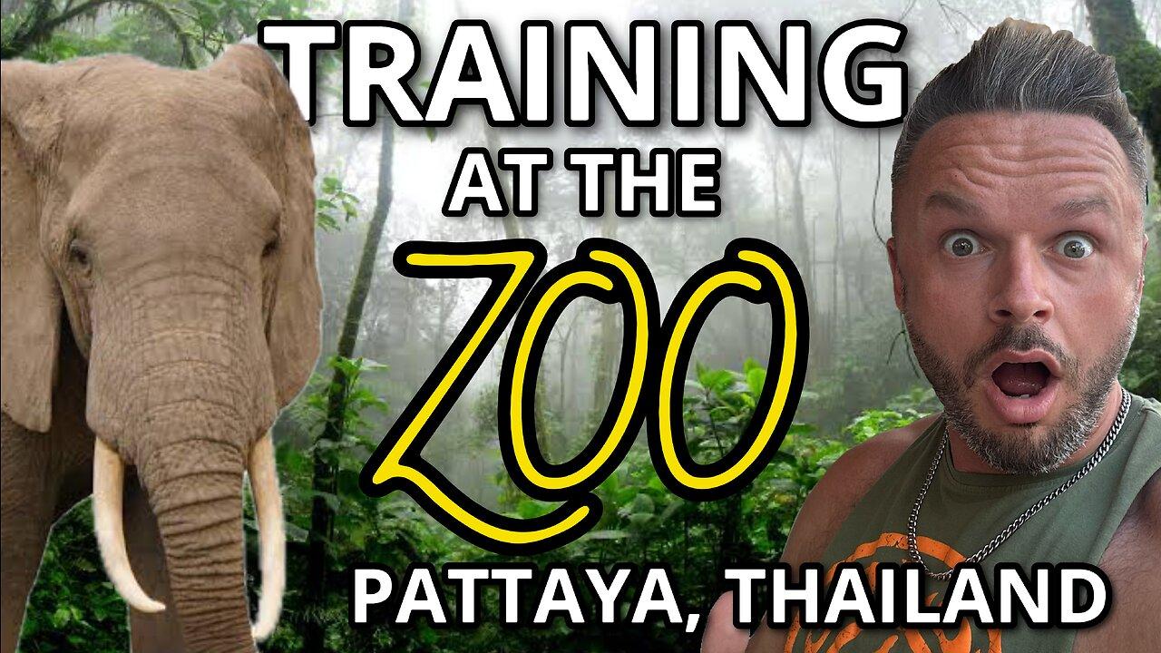 TRAINING AT THE ZOO! PATTAYA, THAILAND - VLOG