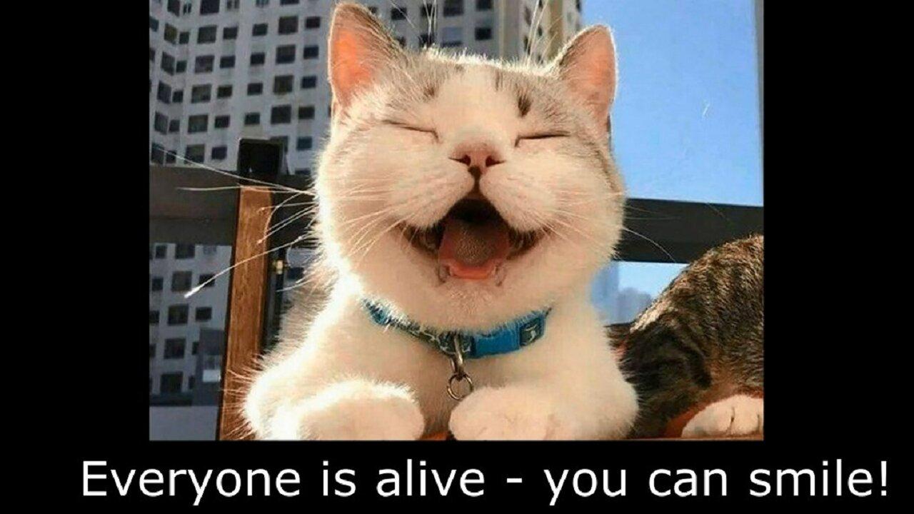 Everyone is alive - you can smile!.