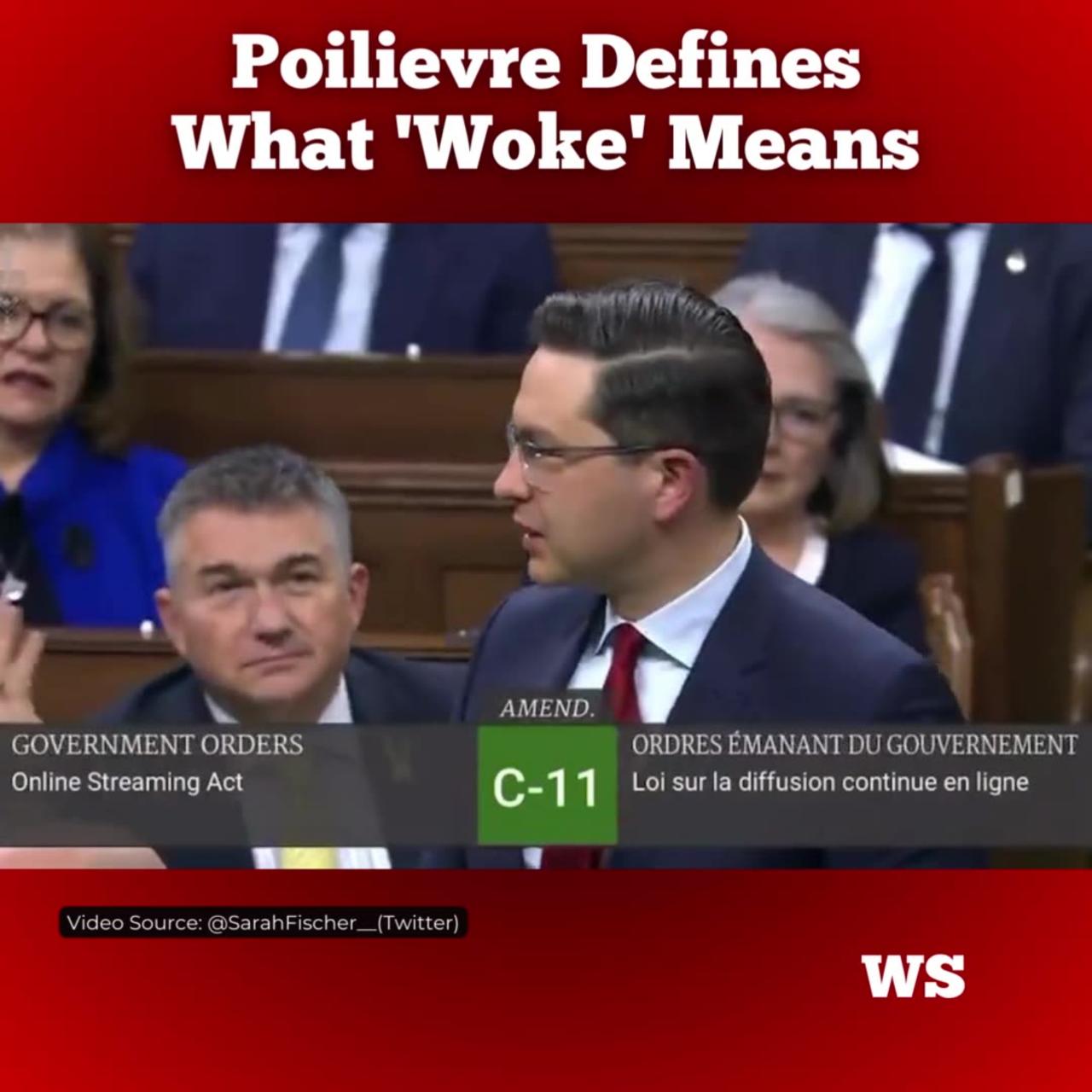 Conservative leader Pierre Poilievre said wokiesm has one purpose with plenty of pretexts...