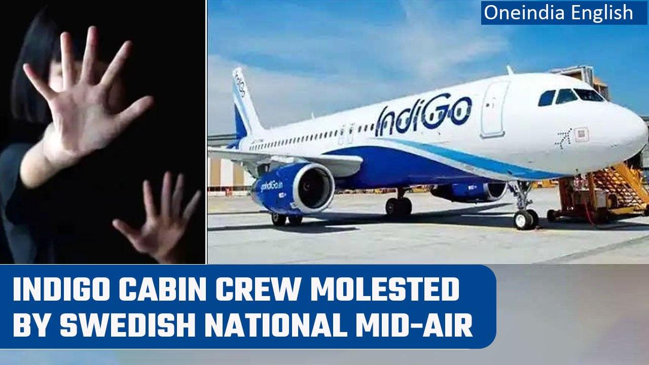 Indigo Air Hostess Molested on Board by adrunk Swedish National | Oneindia News