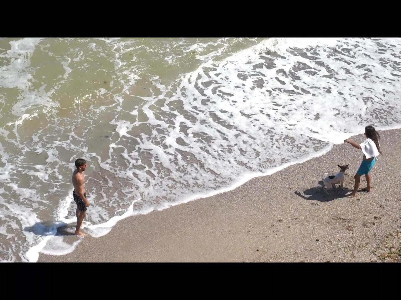 Funny dog playing with man and women in beach😇