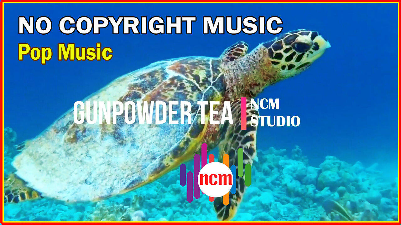 Gunpowder Tea - Mini Vandals: Pop Music, Happy Music, No Copyright Music  @NCMstudio18 ​