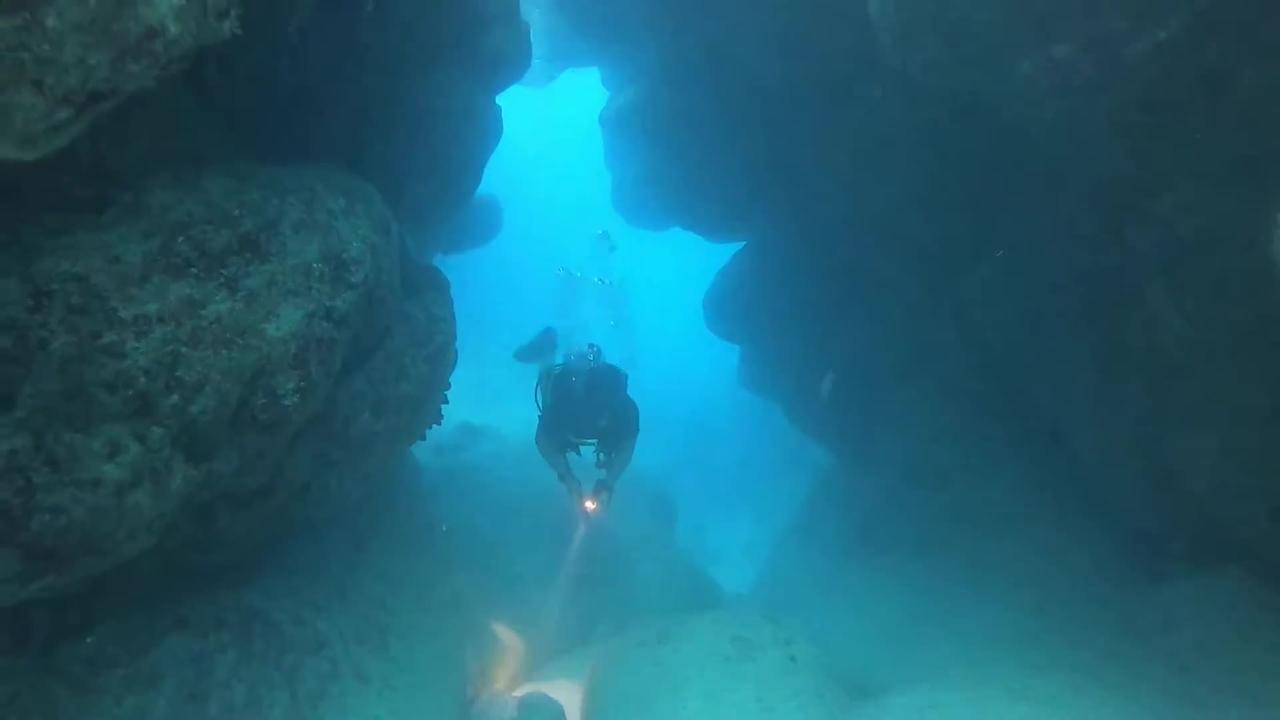 Bermuda Cooper's Island Scuba Dive One News Page VIDEO