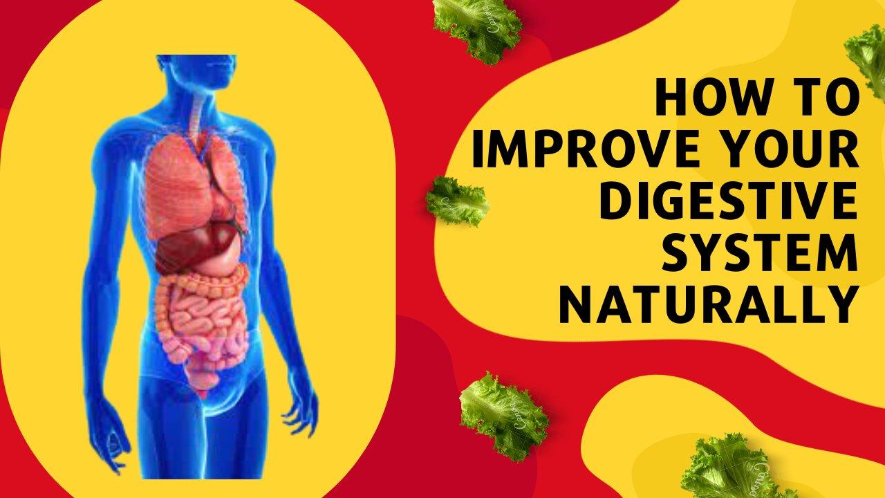 Improve your digestive system naturally One News Page VIDEO