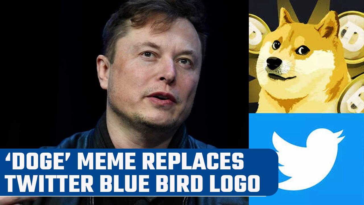Elon Musk replaces Twitter's Blue Bird Logo with 'Doge' Meme | Oneindia News