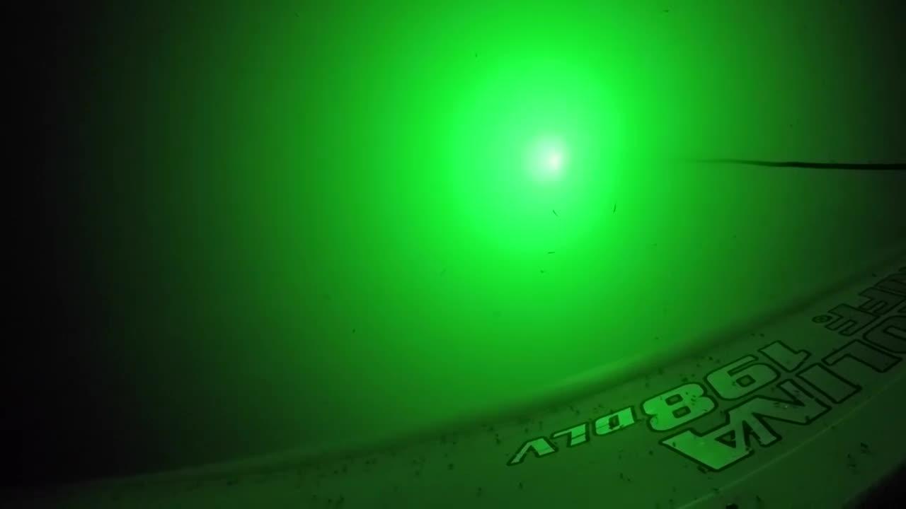 How to Catch Catfish at Night with Lights One News Page VIDEO