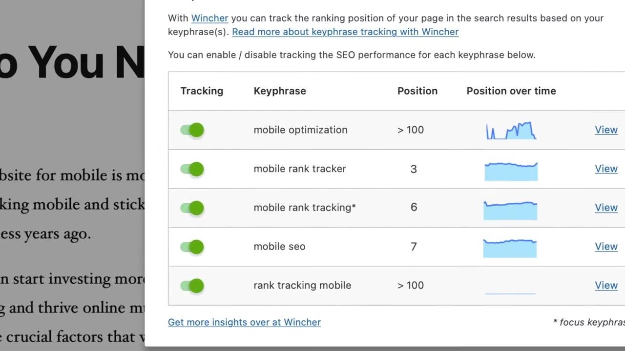 Yoast SEO Tutorial _ How to Track Website’s Positions with Wincher Integration