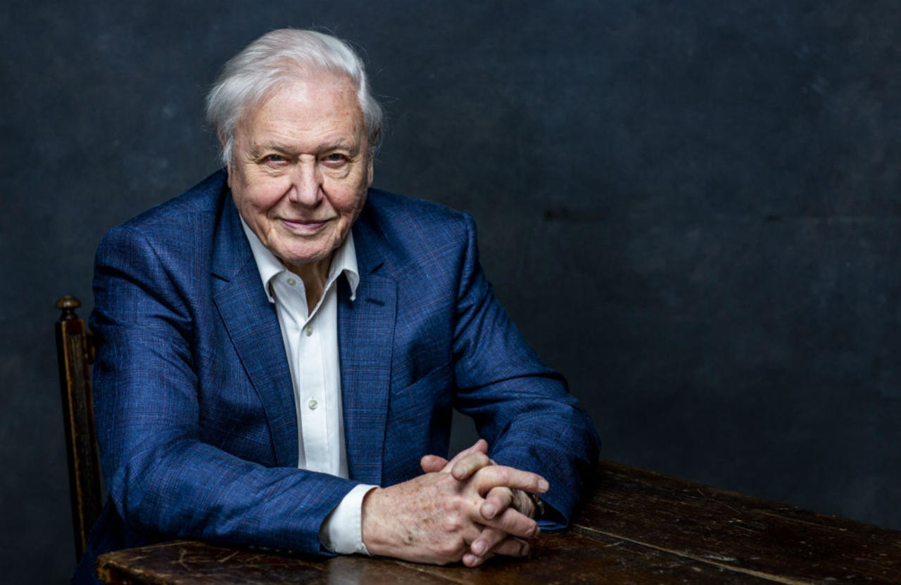 Sir David Attenborough is the UK's favorite presenter