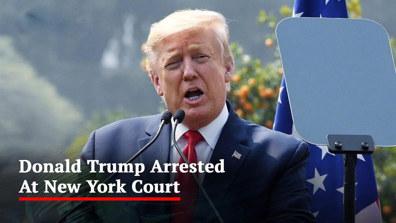Donald Trump responds to historic arrest