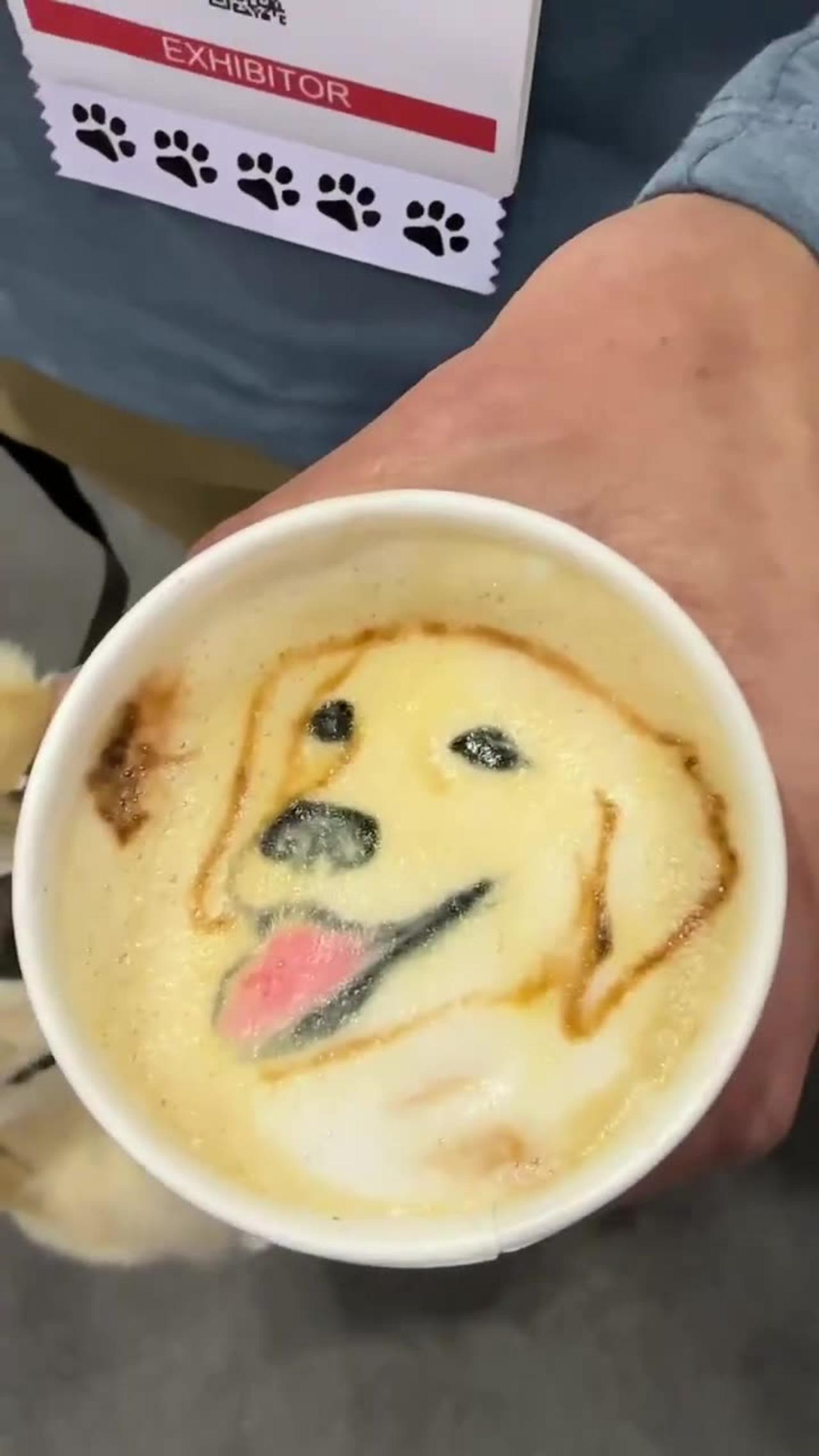 Dog coffee art is wild! One News Page VIDEO