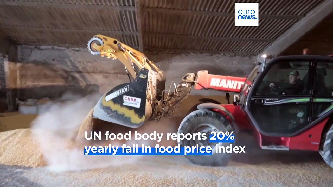 Global food prices drop by a fifth - but still remain too high