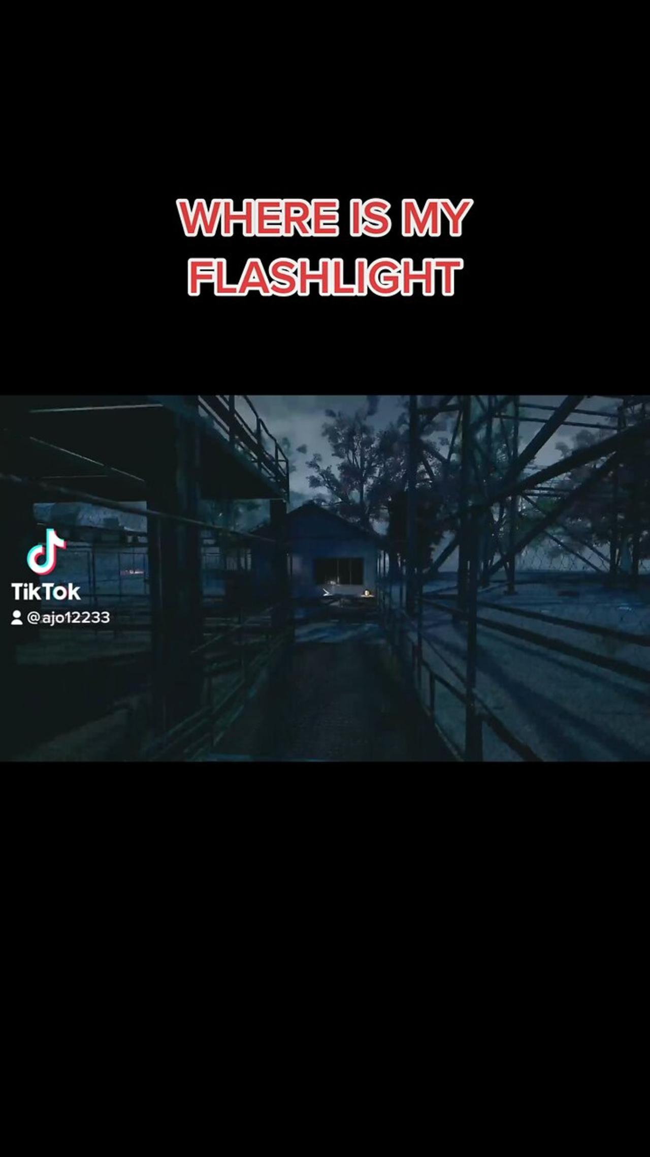 WHERE IS MY FLASHLIGHT One News Page VIDEO