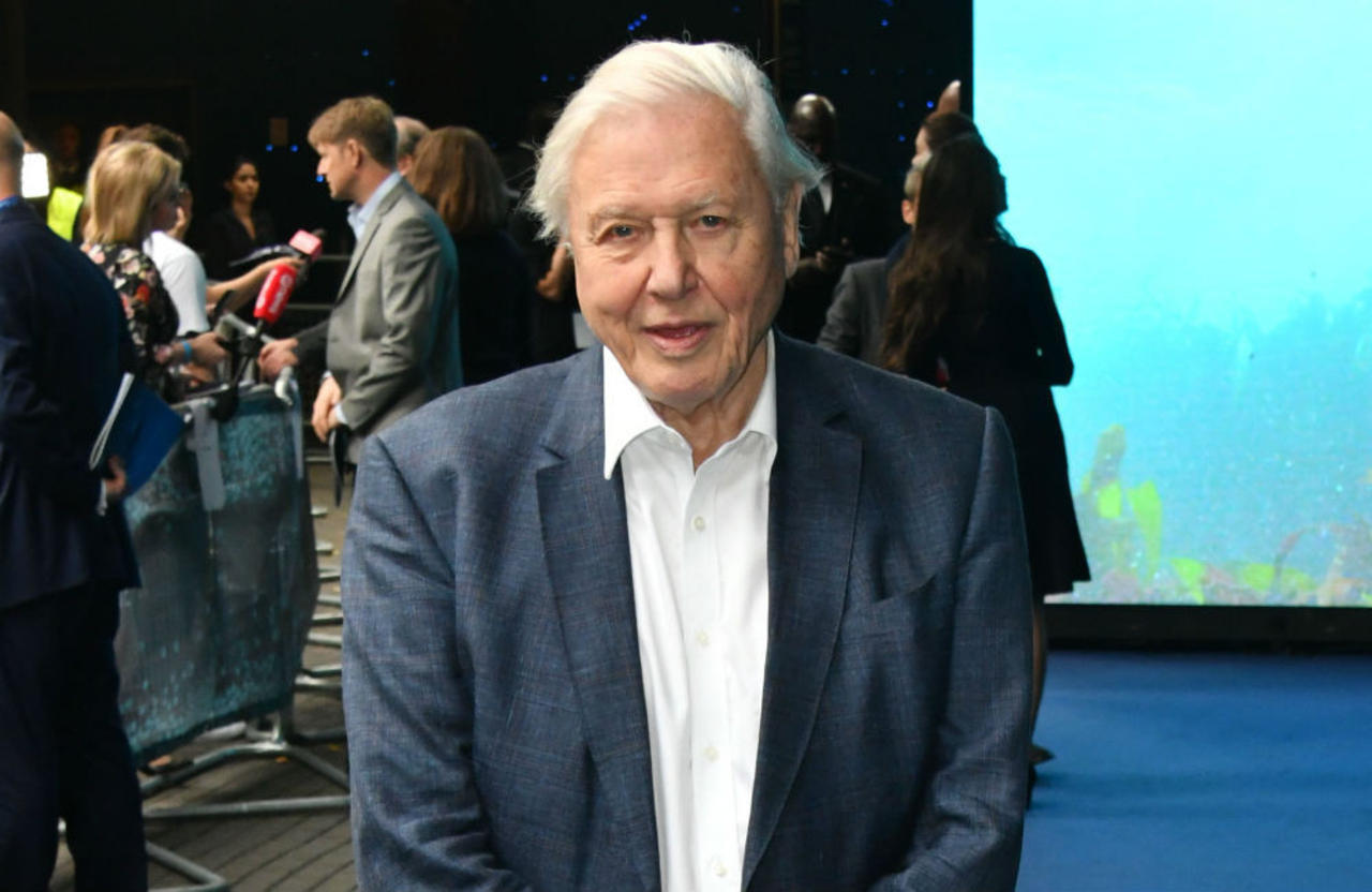 Sir David Attenborough will continue to work for 'as long as he can'
