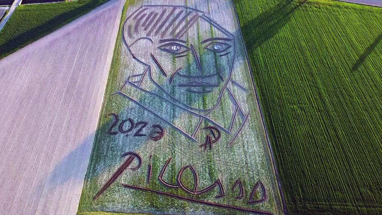 Artist carves a giant land portrait of Picasso to mark anniversary of his death
