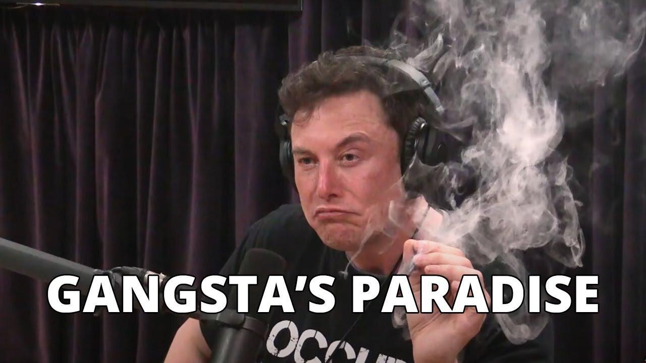 Elon Musk - I Don't Ever Give Up  | Gangsta's Paradise | Podcast