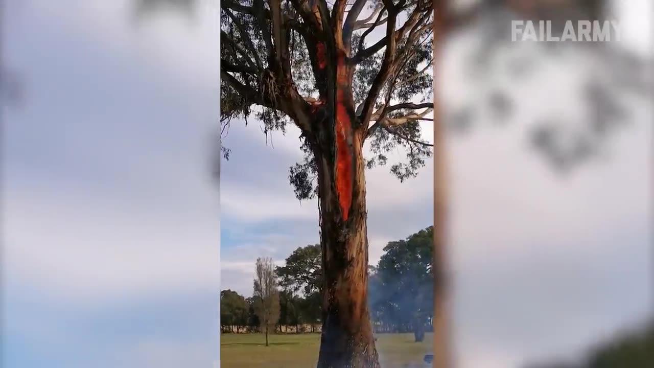 People Vs Nature Fails | Crazy Weather Caught on Camera