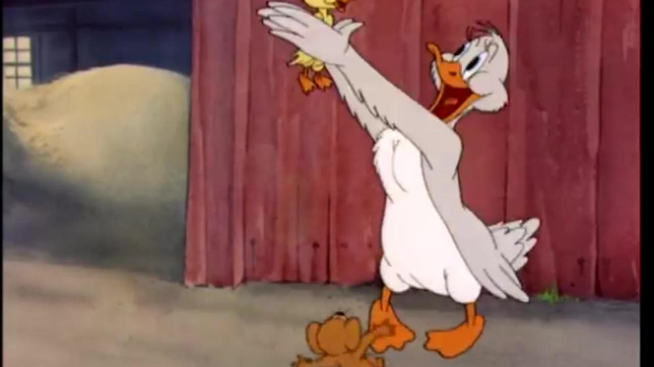 When Little Quacker Met His Family | Tom And Jerry
